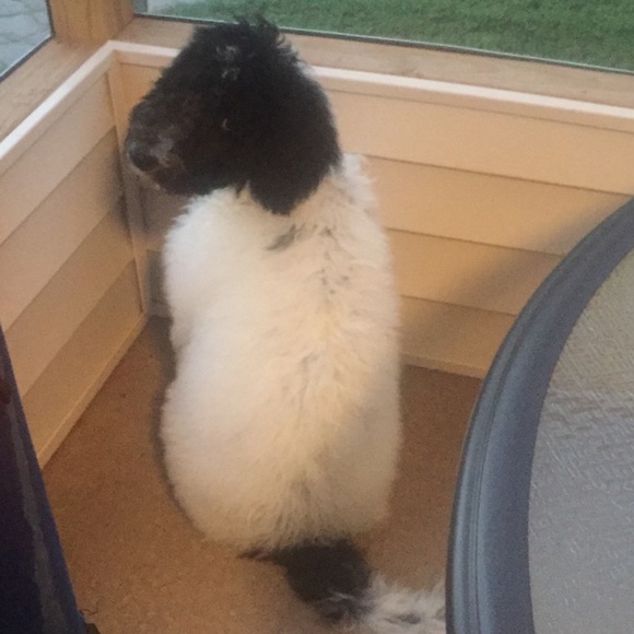 Meet your Posher, Michelle - Picture 1 of 1